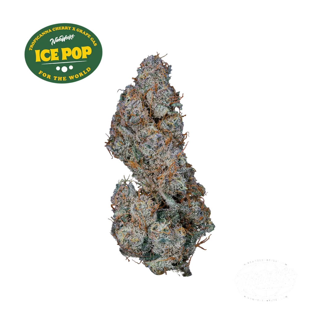 Ice Pop | PHOTOFEM | Nine Weeks Harvest