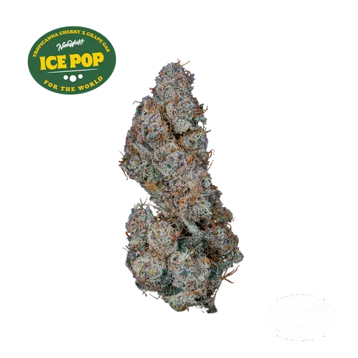 Ice Pop