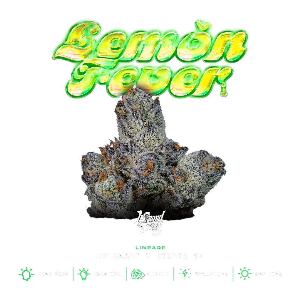 Lemon Fever | PHOTOFEM | Wizard Trees