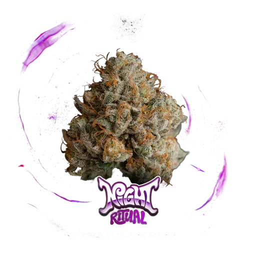 Night Ritual | PHOTOFEM | Wizard Trees