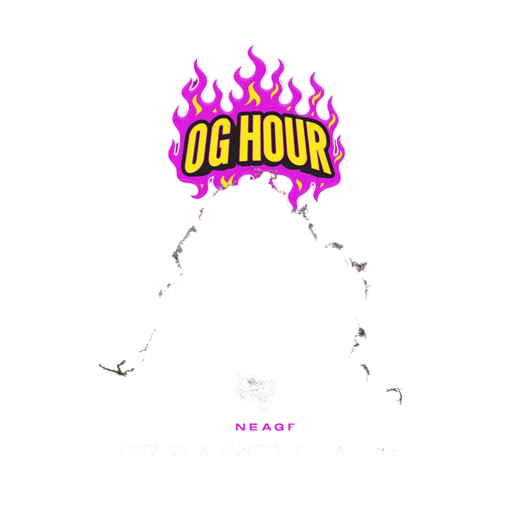 OG Hour | PHOTOFEM | Wizard Trees