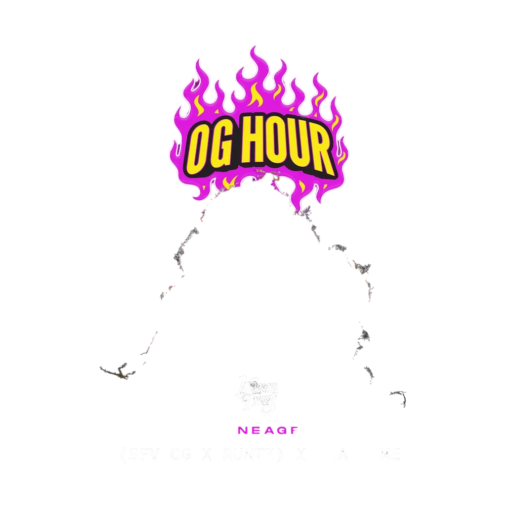 OG Hour | PHOTOFEM | Wizard Trees