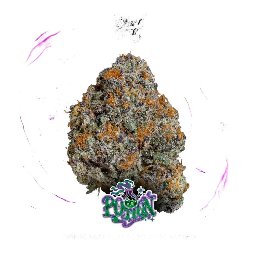 Potion | PHOTOFEM | Wizard Trees