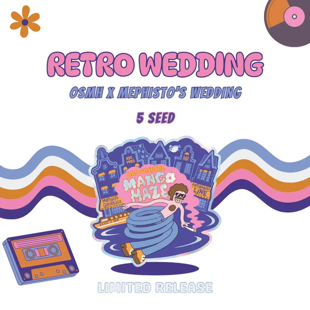 Retro Wedding Auto – Produktansicht