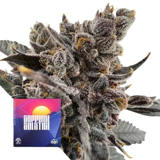 Sapphire Solstice