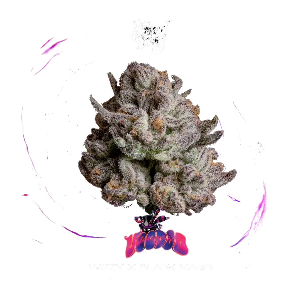 Voodoo | PHOTOFEM | Wizard Trees