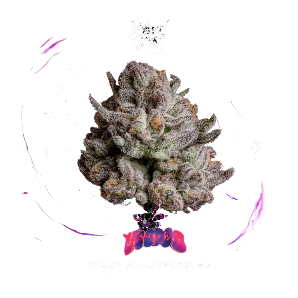 Voodoo | PHOTOFEM | Wizard Trees
