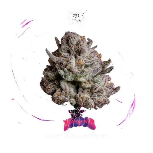 Voodoo | PHOTOFEM | Wizard Trees