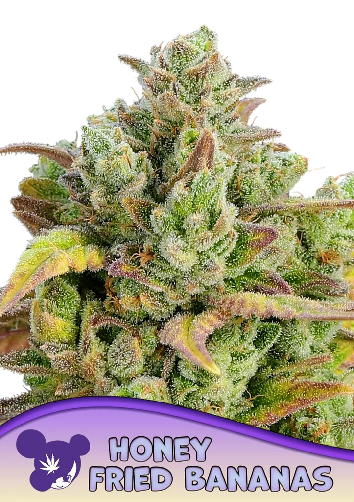 Honey Fried Bananas – Produktansicht