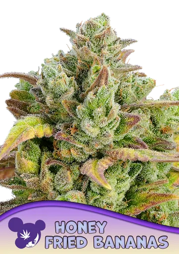 Honey Fried Bananas | PHOTOFEM | Anesia Seeds