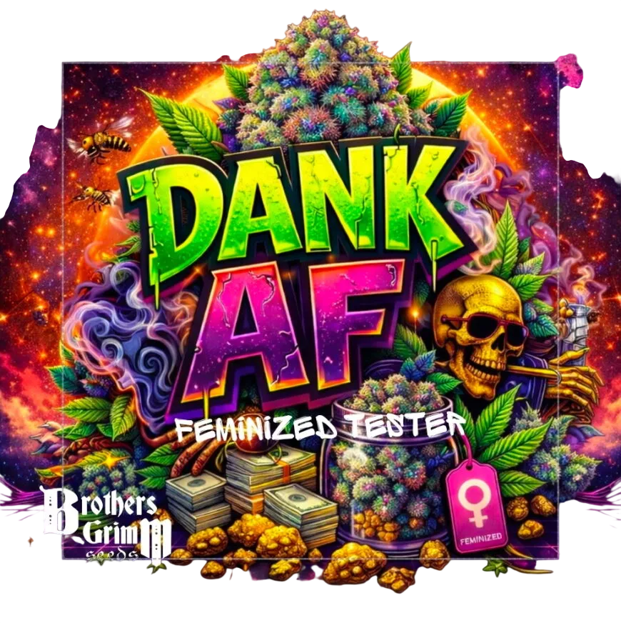 Dank AF | PHOTOFEM | Brothers Grimm Seeds