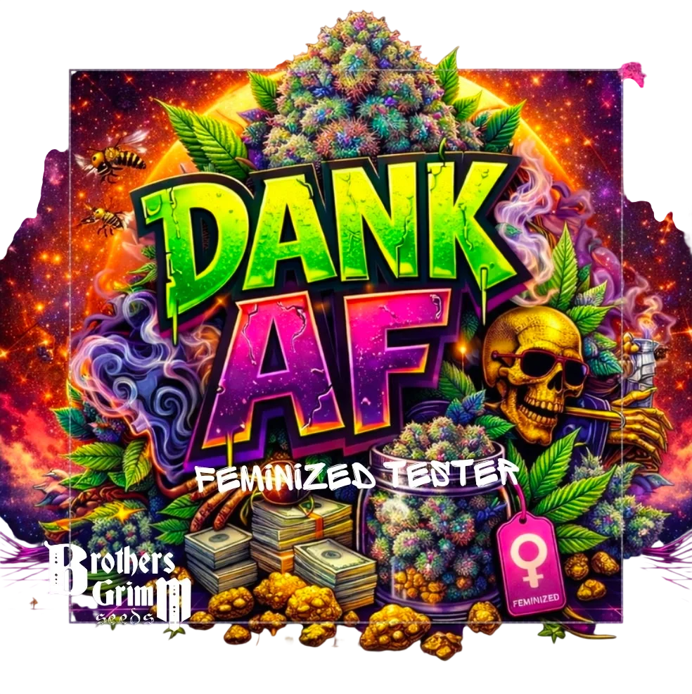 Dank AF | PHOTOFEM | Brothers Grimm Seeds