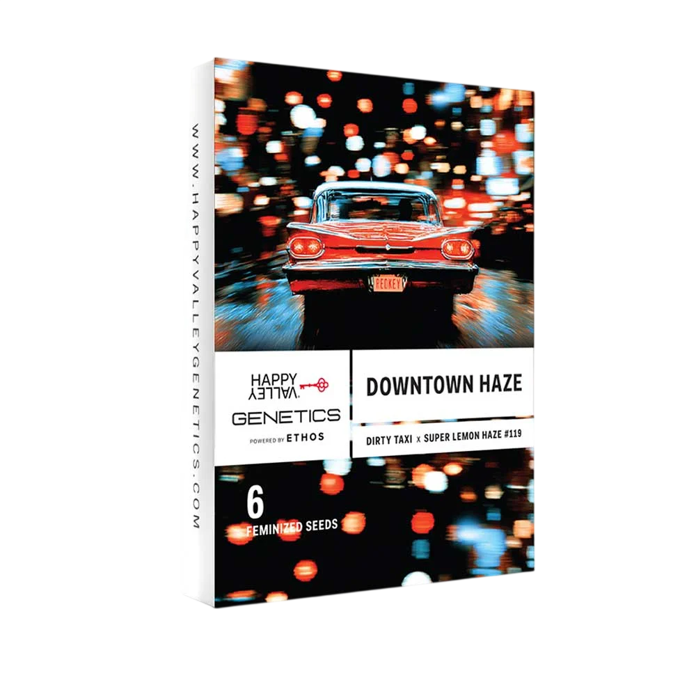 Downtown Haze – Produktansicht