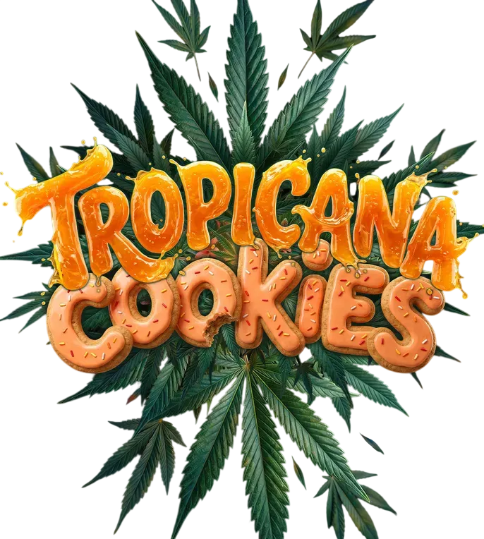 Tropicana Cookies Auto | AUTOFEM | Barneys Farm