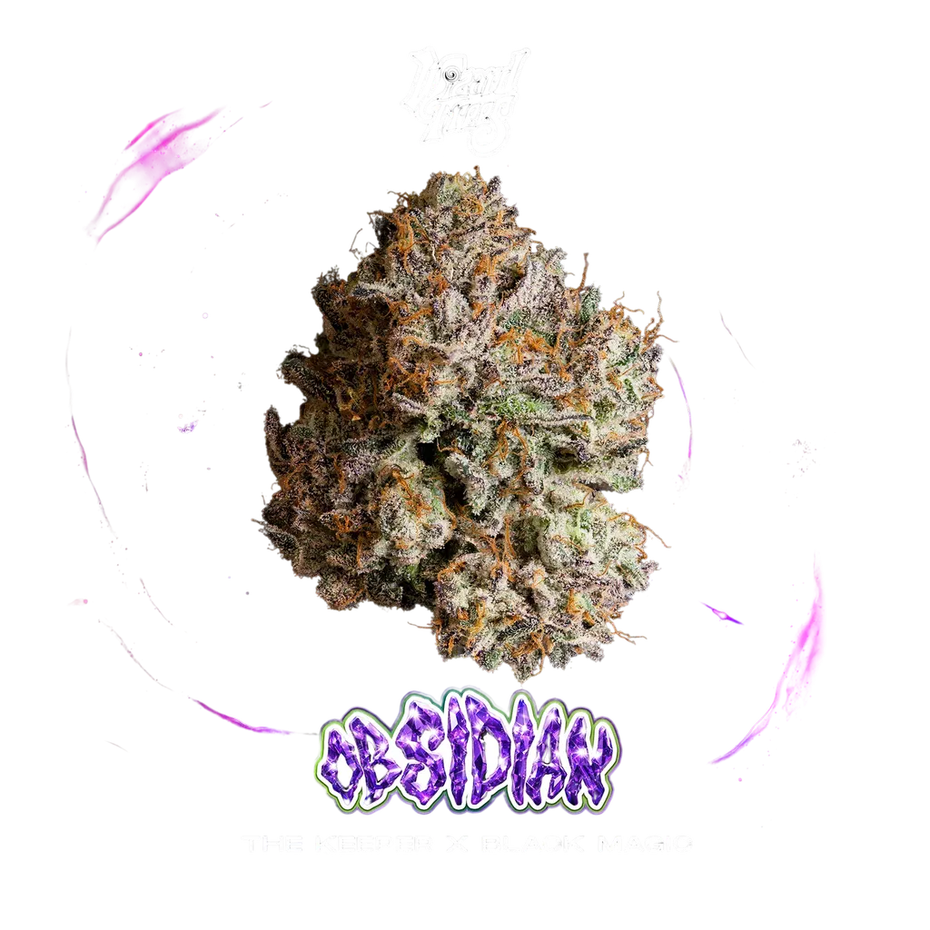 Obsidian | PHOTOFEM | Wizard Trees
