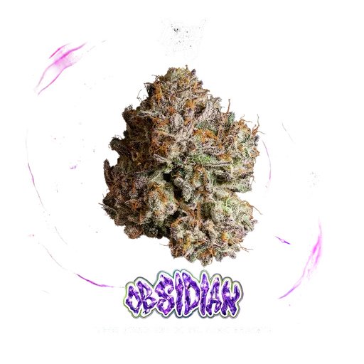 Obsidian