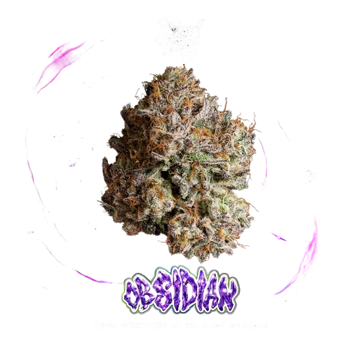 Obsidian