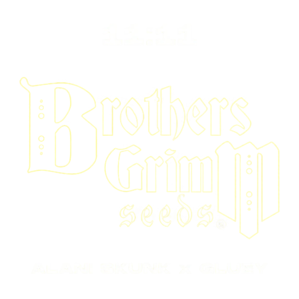 11:11 | PHOTOFEM | Brothers Grimm Seeds
