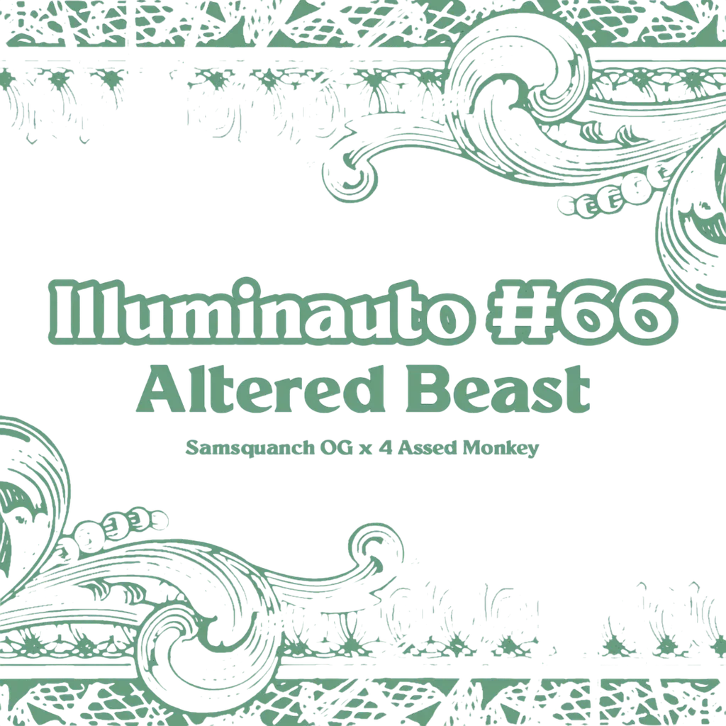 Altered Beast Auto – Produktansicht