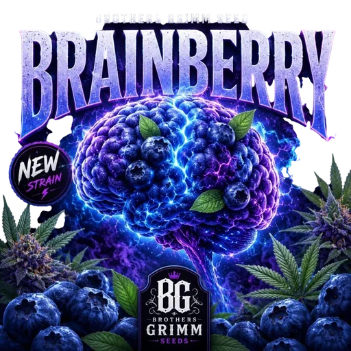 Brainberry