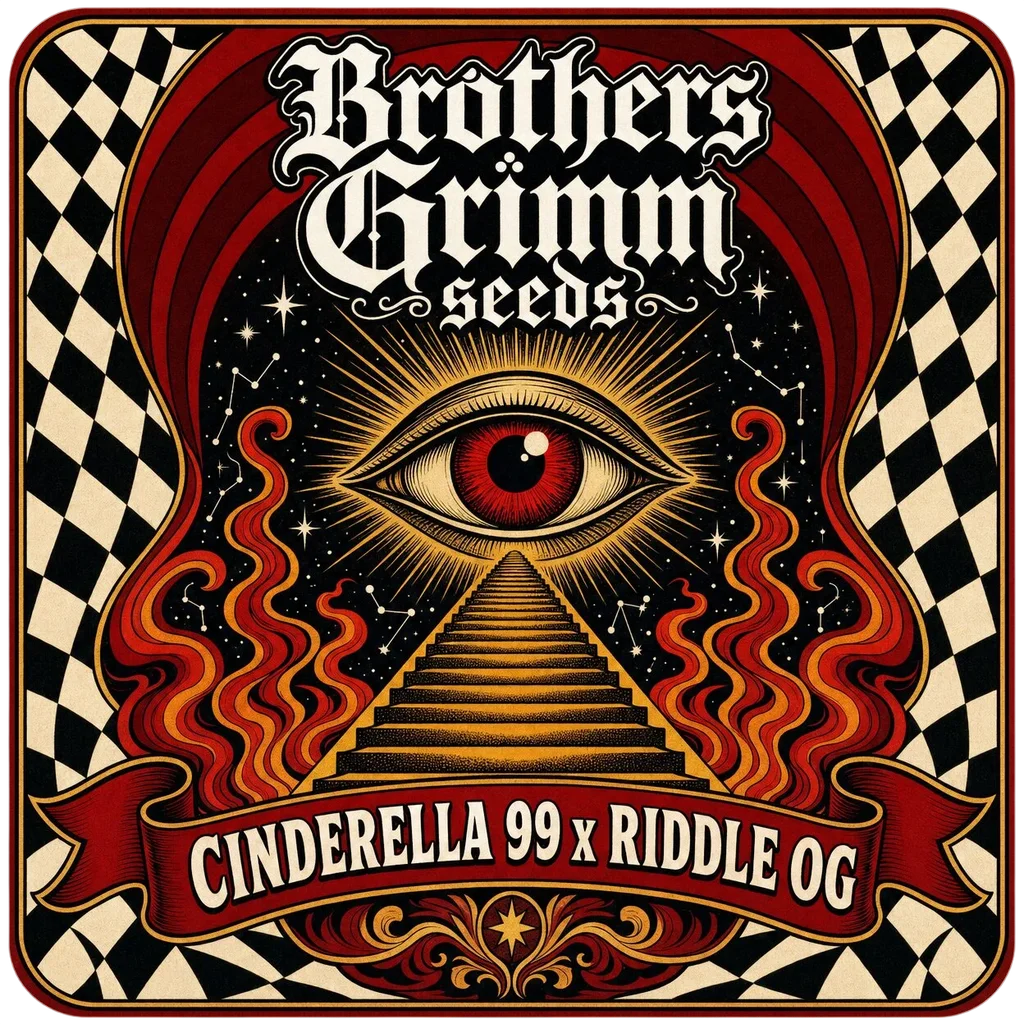 Cinderella 99 x Riddle OG | PHOTOFEM | Brothers Grimm Seeds