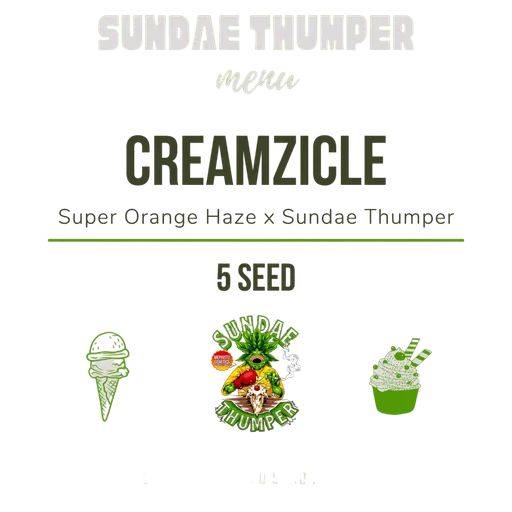 Creamzicle Auto