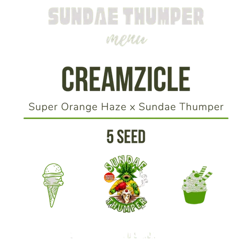Creamzicle Auto
