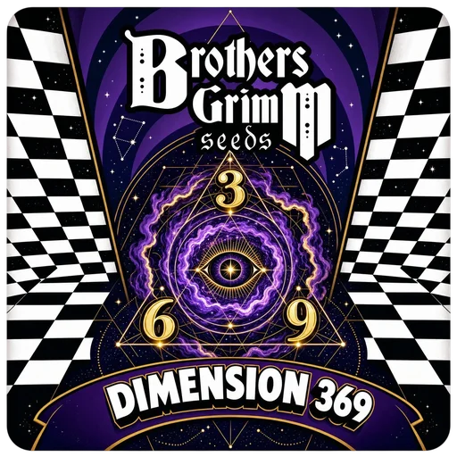 Dimension 369