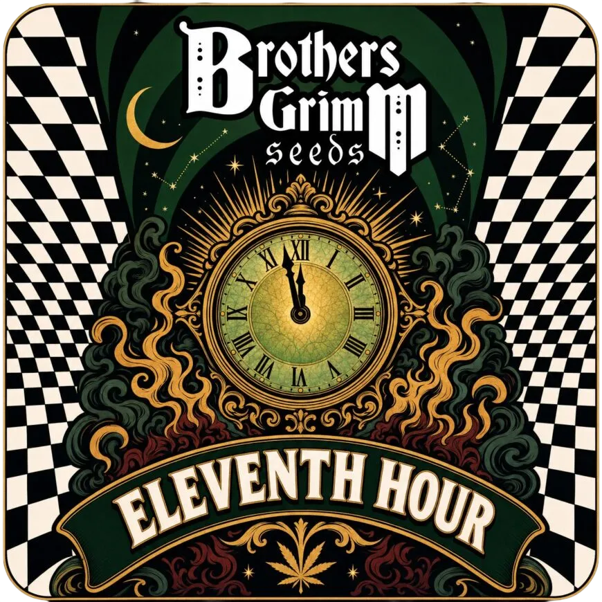 Eleventh Hour | PHOTOFEM | Brothers Grimm Seeds