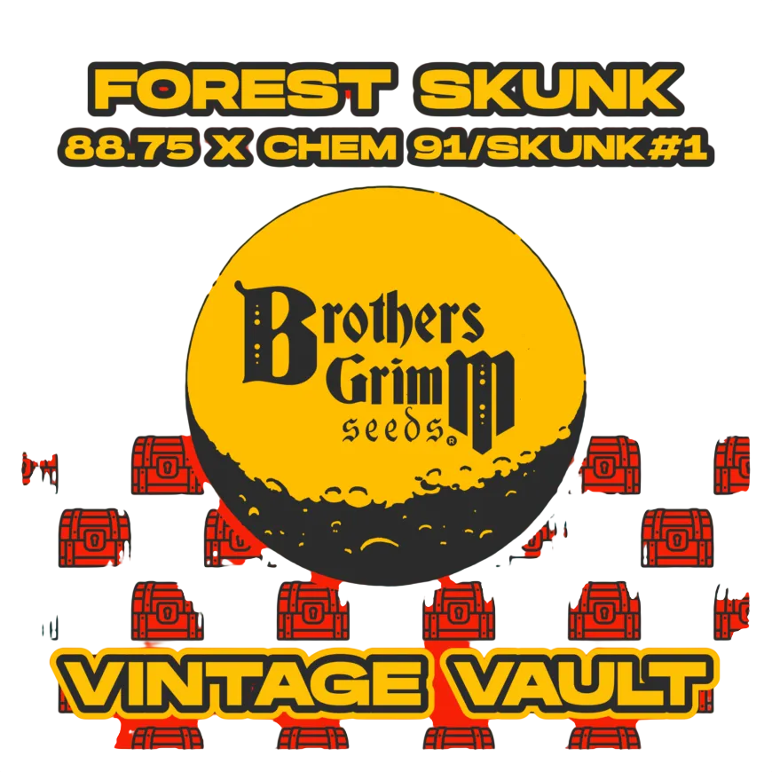 Forest Skunk | PHOTOREG | Brothers Grimm Seeds