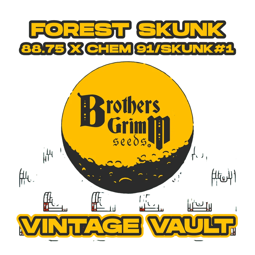 Forest Skunk | PHOTOREG | Brothers Grimm Seeds