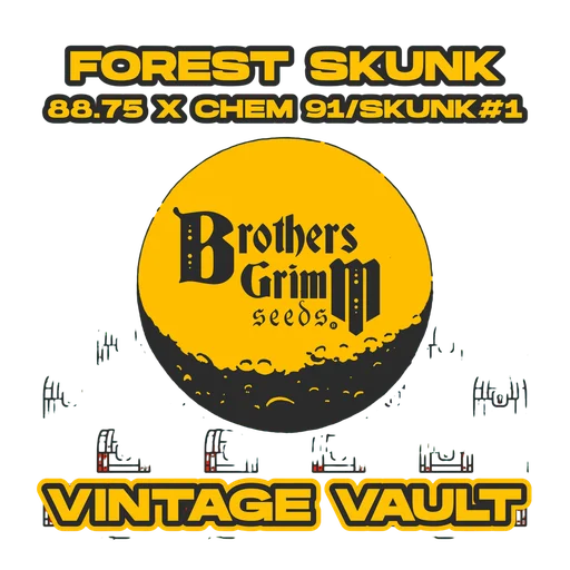 Forest Skunk