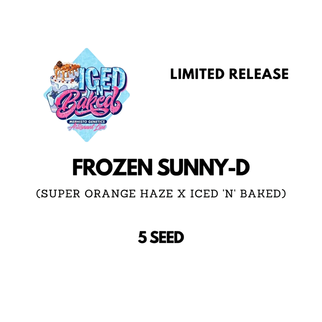 Frozen Sunny-D Auto – Produktansicht