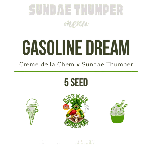 Gasoline Dream Auto