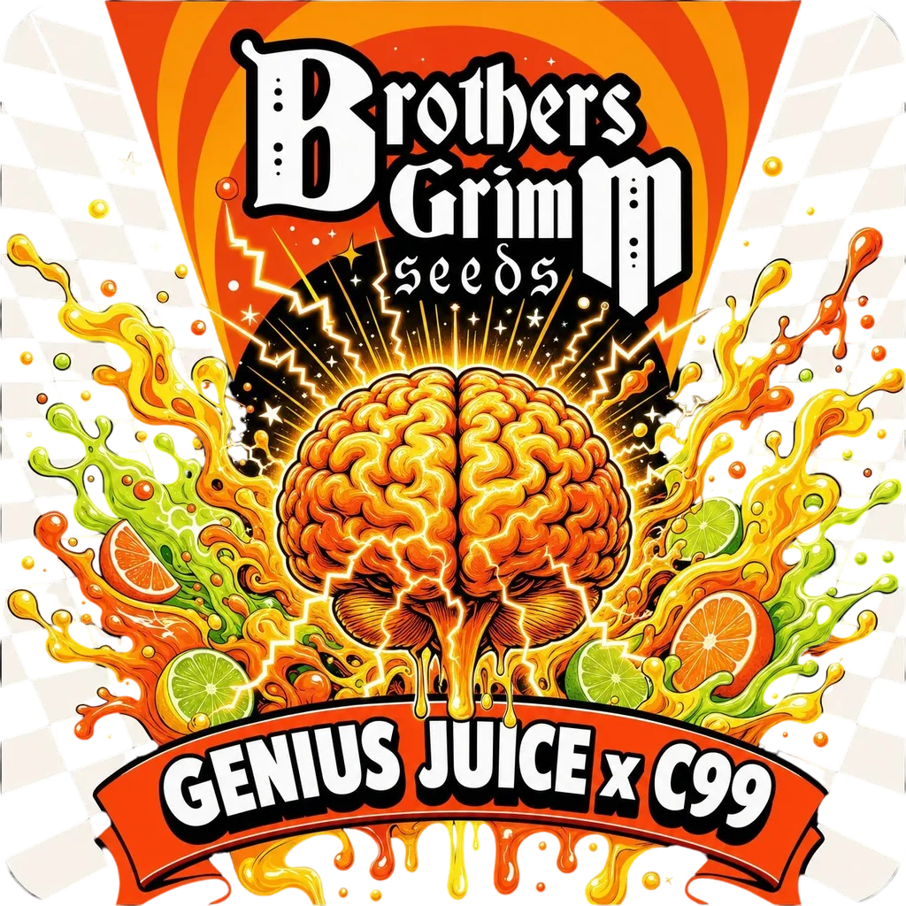 Genius Juice x Cinderella 99 | PHOTOFEM | Brothers Grimm Seeds