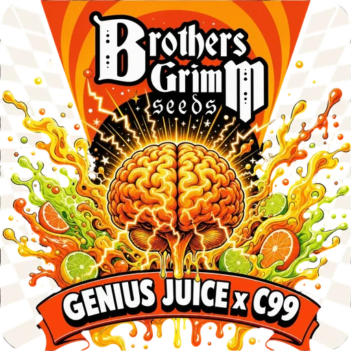 Genius Juice x Cinderella 99