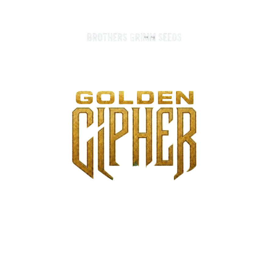 Golden Cipher | PHOTOFEM | Brothers Grimm Seeds