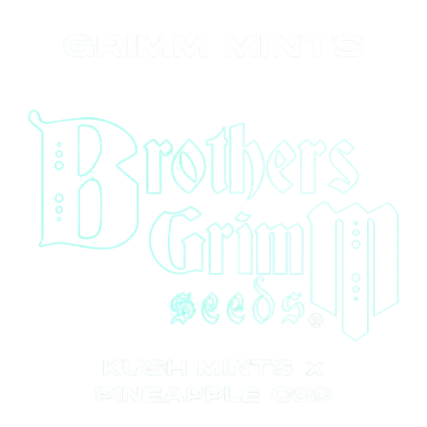 Grimm Mints | PHOTOFEM | Brothers Grimm Seeds