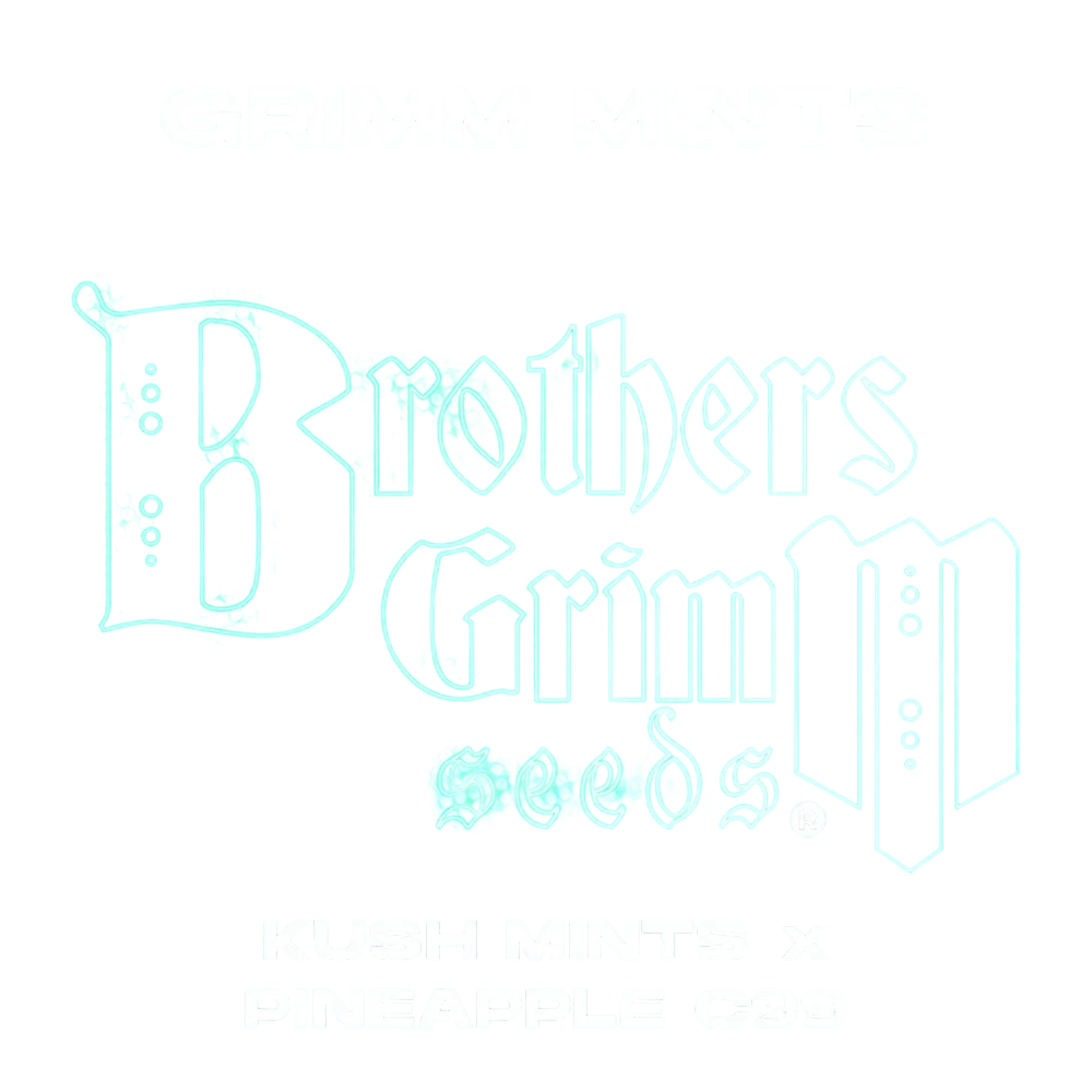 Grimm Mints | PHOTOFEM | Brothers Grimm Seeds