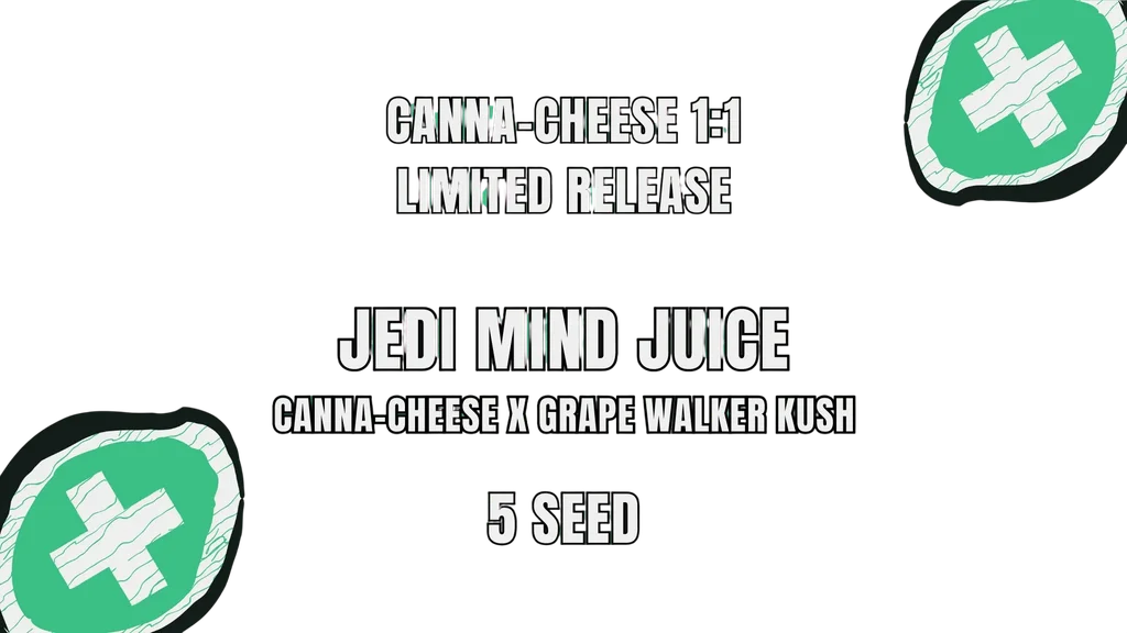 Jedi Mind Juice Auto | AUTOFEM | Mephisto Genetics