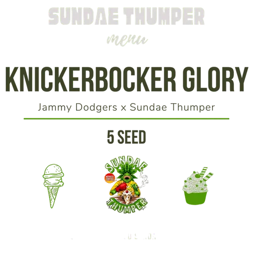 Knickerbocker Glory Auto
