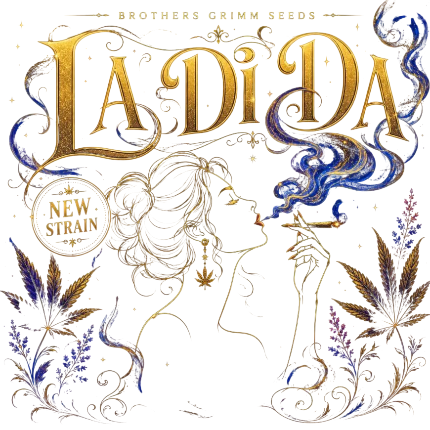 La Di Da | PHOTOFEM | Brothers Grimm Seeds