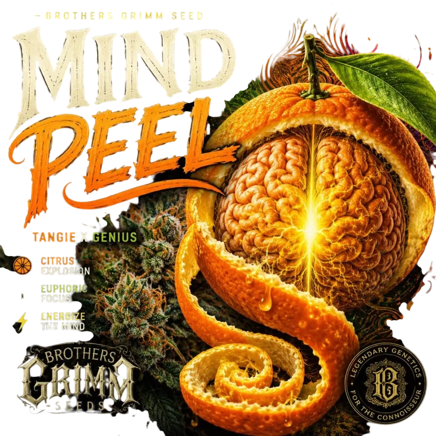 Mind Peel | PHOTOFEM | Brothers Grimm Seeds