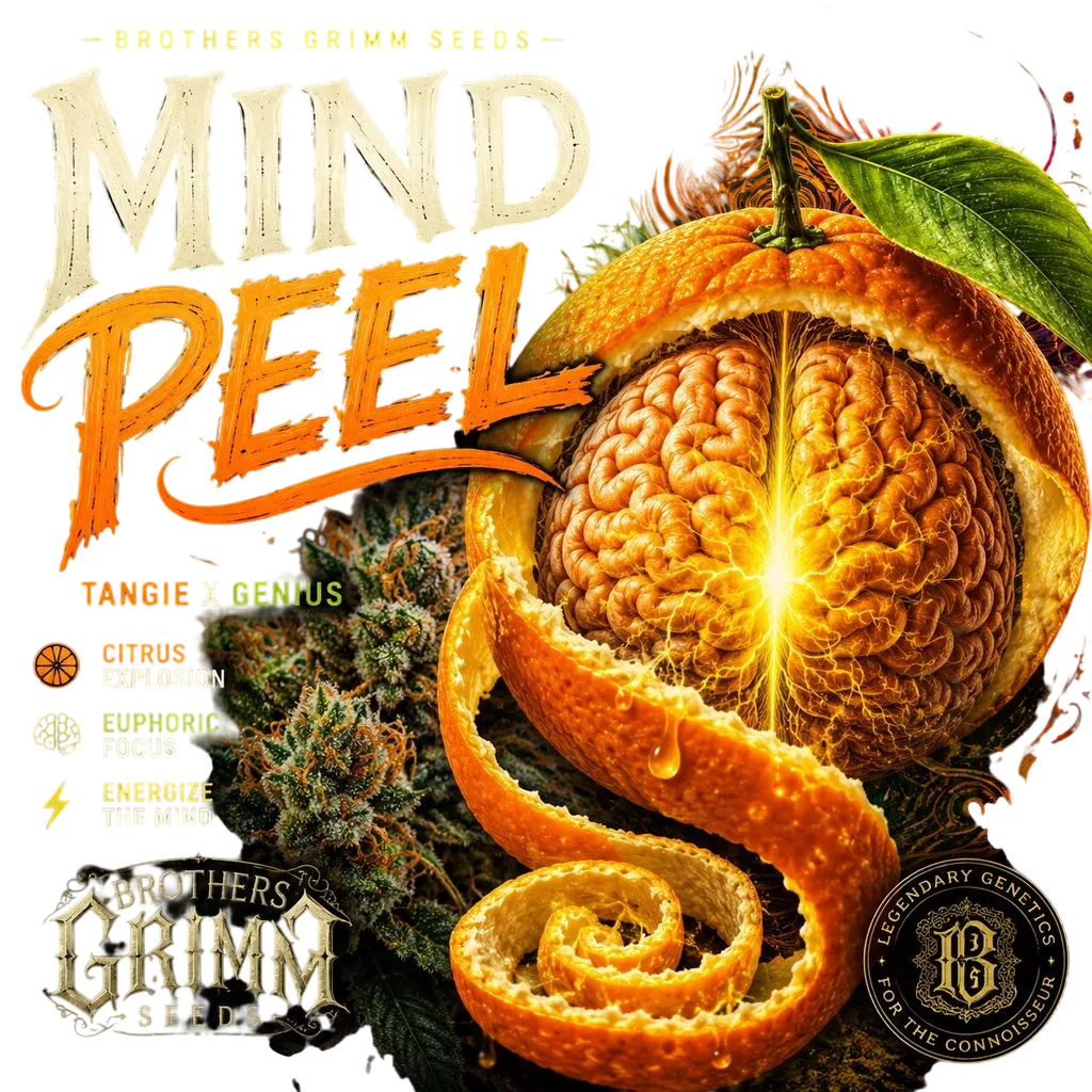 Mind Peel | PHOTOFEM | Brothers Grimm Seeds