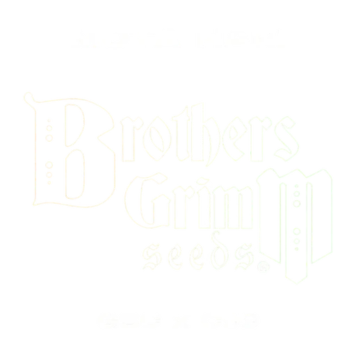 Mota Hari