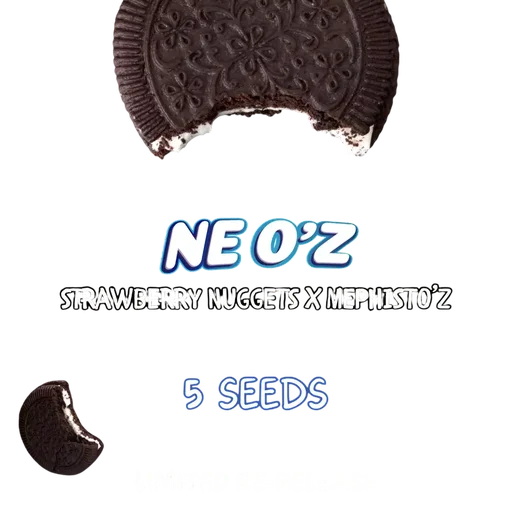 Ne-O'z Auto
