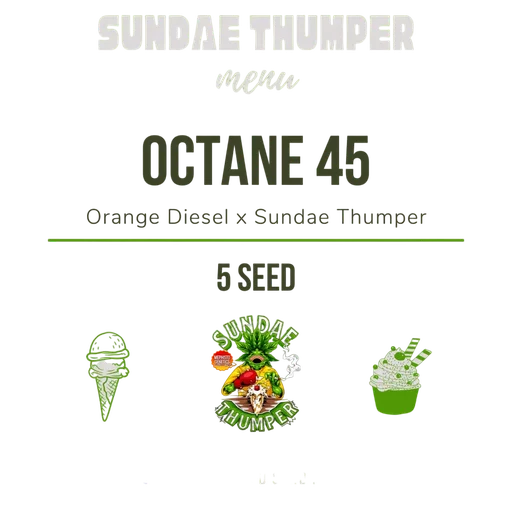 Octane 45 Auto