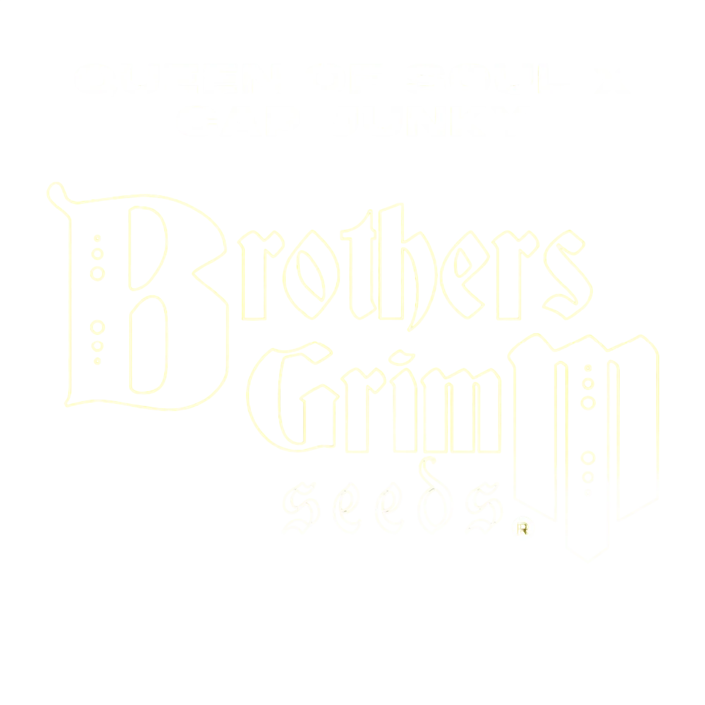 Queen of Soul x Cap Junky | PHOTOFEM | Brothers Grimm Seeds