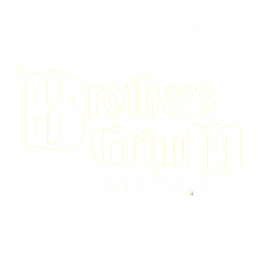 Queen of Soul x Cap Junky