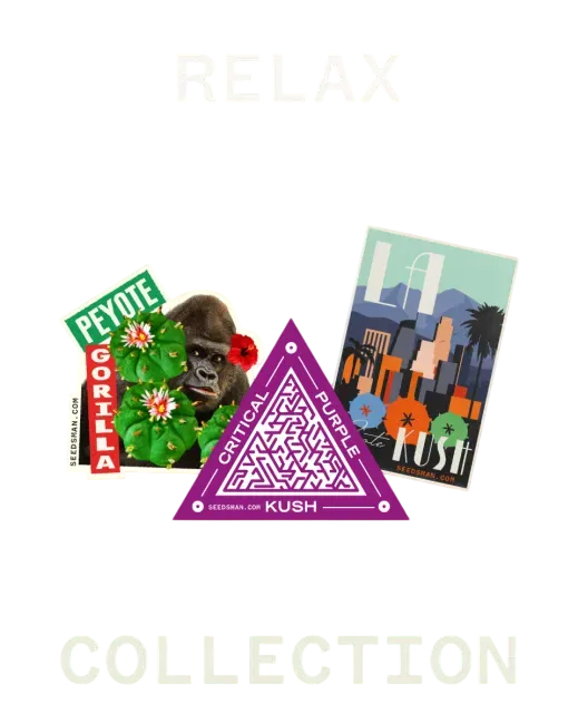 Relax Collection | PHOTOFEM | Seedsman
